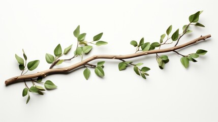 styled tree branch with leaves separated on a white background AI generated illustration