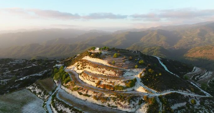 Aerial view agricultural landscape of vineyards of Cyprus. Grape bushes grow on the slopes of the mountains at sunset in the winery. High quality 4k footage