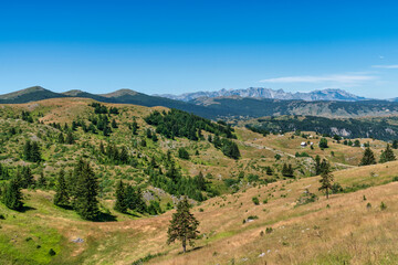 Fototapeta na wymiar Durmitor National Park Montenegro