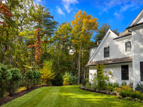 Autumn colors in suburban garden - morning sunlight on a suburban yard lights up the fall colors in the trees