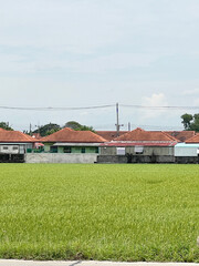 view from a top with a small house in the field