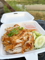 chicken fried with rice in thai style