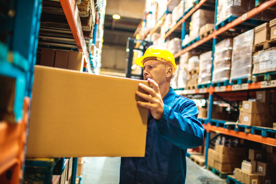Focused Warehouse Worker Organizing Stock