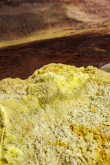 Yellow vents, with red soil; Galapagos