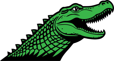 a self-made illustration
