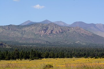 landscape in the mountains