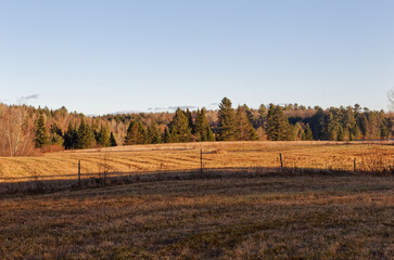 Fototapeta premium Farm fields in the fall