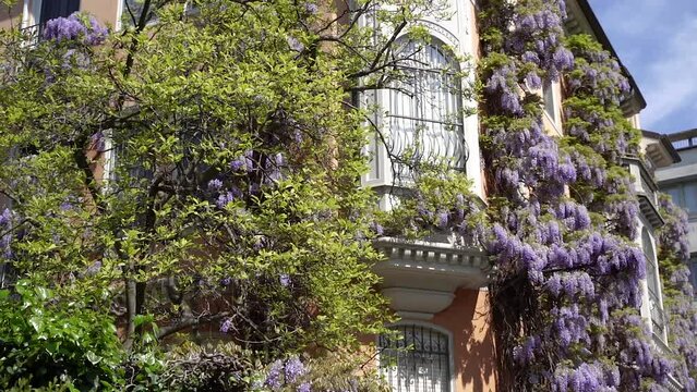 Architecture. Flowers covered the building.