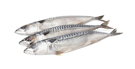 Many tasty salted mackerels isolated on white