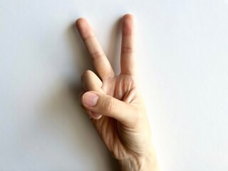 ジェスチャー　ピース