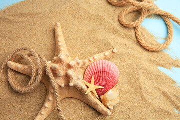 Beautiful starfishes, sea shells, rope and sand on light blue background