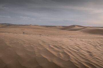 Fototapeta na wymiar Close up background on the desert sand in Inner Mongolia, China.
