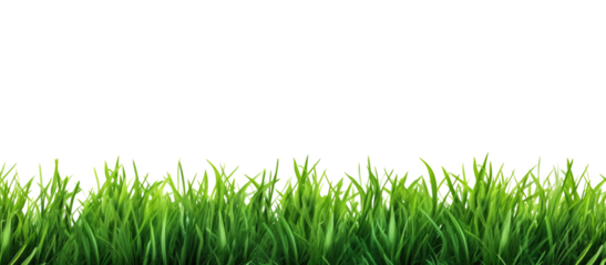Green grass border, on a transparent background. The horizon of the green lawn. Greenfield frame, background, PNG file