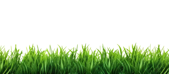 Tableaux sur verre Herbe Green grass border, on a transparent background. The horizon of the green lawn. Greenfield frame, background, PNG file
