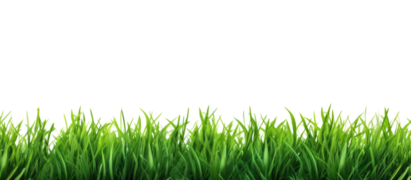 Green grass border, on a transparent background. The horizon of the green lawn. Greenfield frame, background, PNG file