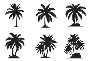 Fototapeta na wymiar palm trees silhouettes. Isolated coconut on the white background.