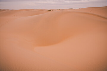 Fototapeta na wymiar The sand waves of an interesting shape in the desert next to Wuhai, China