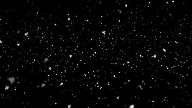 Snow season land on the ground tea tea black background.