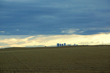 Calgary cityline with warm yellow agriculture field, cloudy sky with sun peaking out