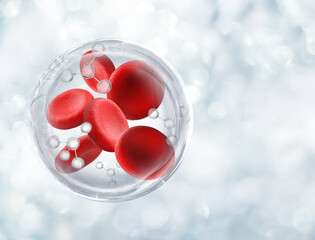 growth factor stem cell and molecule