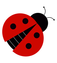 Cute ladybug or ladybug simple flat design red and black.