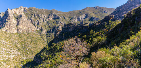 The Guadalupe Mountain Range Above McKittrick Canyon on The Notch Trail, McKittrick Canyon, Guadalupe Mountains National Park, Texas, USA
