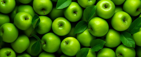 Background of fresh green apples with green leaves. Banner.