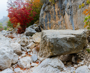 Fall Foliage on The Dry Wash of Devils Hall Trail, Guadalupe Mountains National Park, Texas, USA