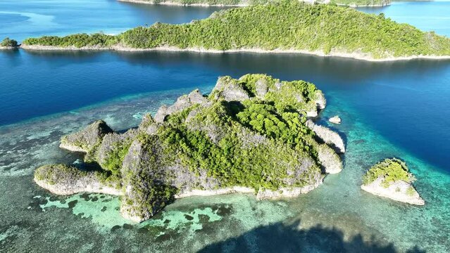 The incredibly scenic, limestone islands of Penemu are surrounded by beautiful coral reefs. These islands, found in northern Raja Ampat, support an amazing array of biodiversity.