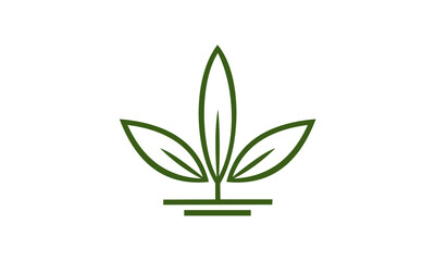 illustration of green plant