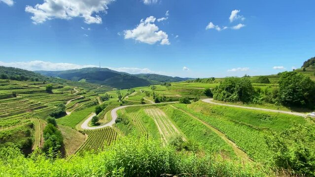 Kaiserstuhl Endingen, Weinberge, Deutschland 