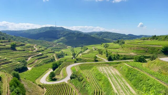 Kaiserstuhl Endingen, Weinberge, Deutschland 