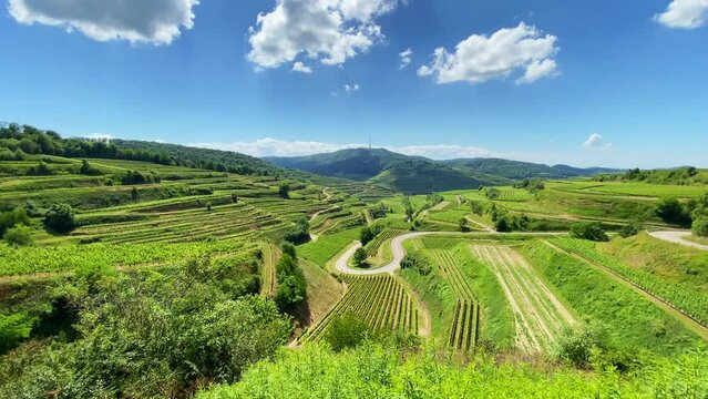 Kaiserstuhl Endingen, Weinberge, Deutschland 