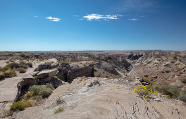 Canyon ravine in the Petrified Forest National Park in Arizona United States
