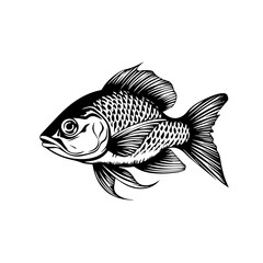 Fish Vector