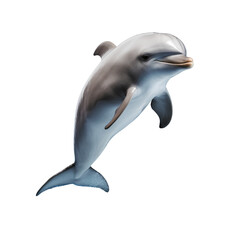 Cute dolphin jumping, isolated on transparent background, PNG, 300 DPI