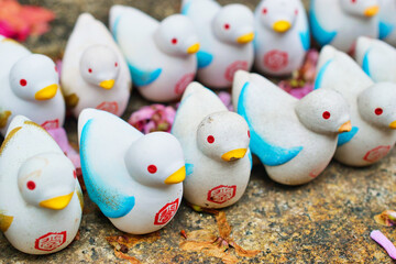 京都 頂法寺 六角堂のかわいい鳩みくじ（日本京都府京都市）Kyoto Chohoji Rokkakudo's cute pigeon fortune Hato Mikuji (Kyoto City, Kyoto Prefecture, Japan)