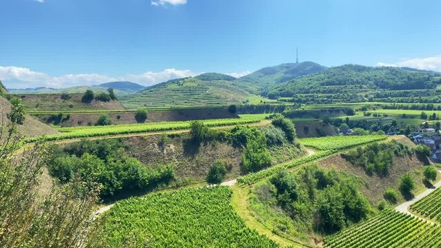 Kaiserstuhl Endingen, Weinberge, Deutschland 