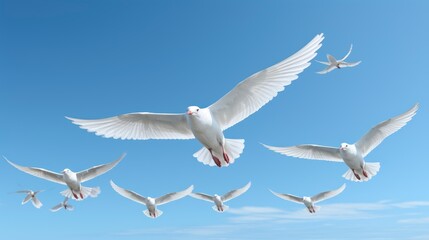 Obraz premium Snow Geese Anser Caerulescens Flying By , Wallpaper Pictures, Background Hd