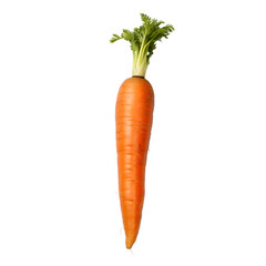 carrot isolate on white