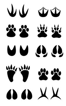 Set of different black animals and bird footprint. Silhouette imprint collection. Vector flat illustration isolated on white background.
