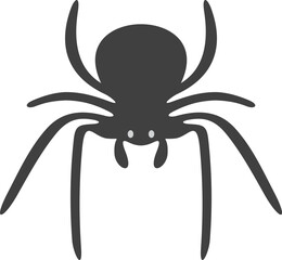 Spider illustration
