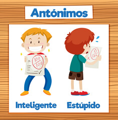 Spanish Language Education: Intelligent and Stupid Word Cards