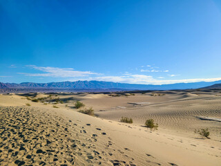 Death Valley Landscape