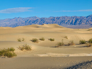 Death Valley Landscape