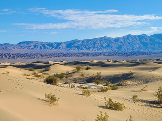 Desert Landscapes Death Valley