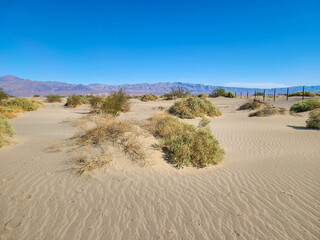 Desert Landscapes Death Valley