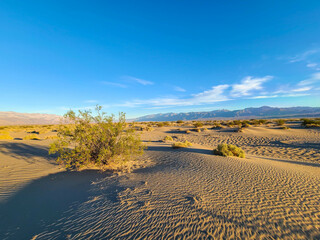 Desert Landscapes Death Valley
