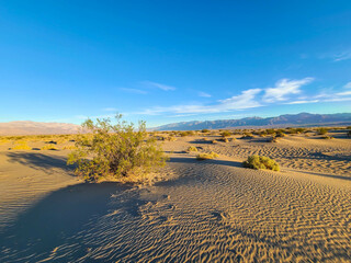 Desert Landscapes Death Valley
