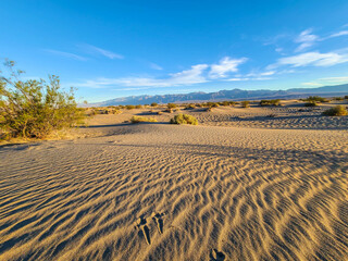 Desert Landscapes Death Valley